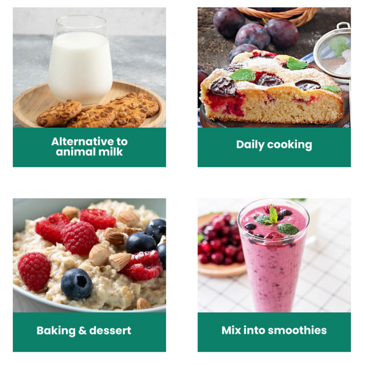 Love Earth Almond Soymilk Powder 500g