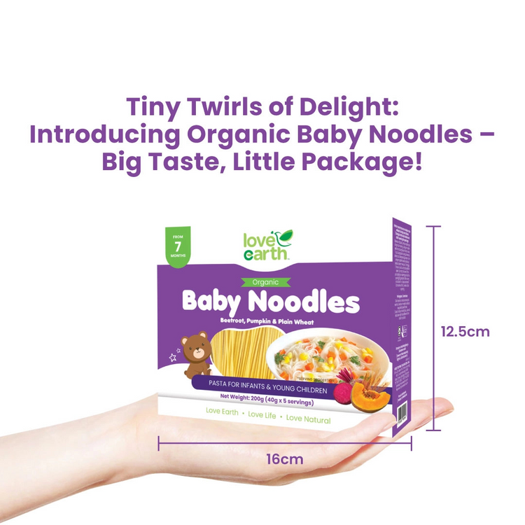 Love Earth Organic Baby Noodles 200g (40g X 5servings) (7m+)