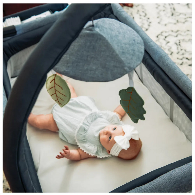 Chicco Lullaby Primo Playard Organic Lakeshore (Birth to 14kg)