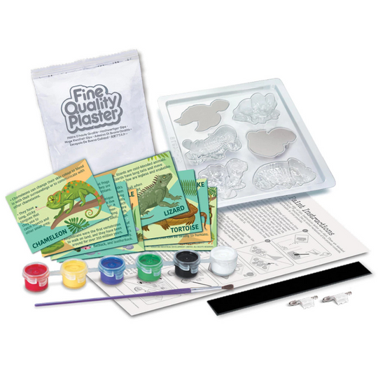 4M Mould & Paint - Reptile & Amphibian (5Y+)