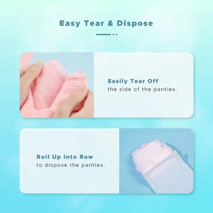 Shapee Overnite Sanitary Panties 3pcs (S-M, L-XL)