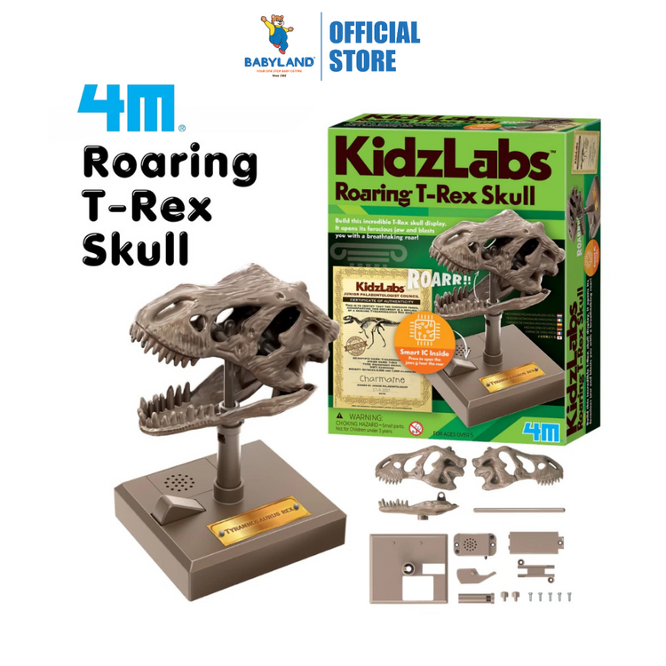 4M KidzLabs - Roaring T-Rex Skull (5Y+)
