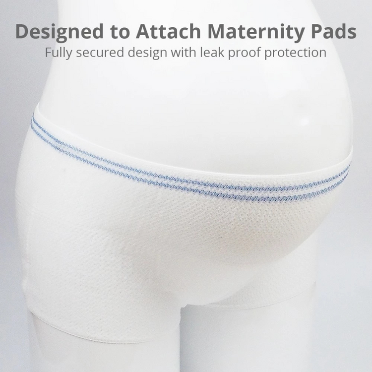 Shapee Postpartum Mesh Panties (5pcs)