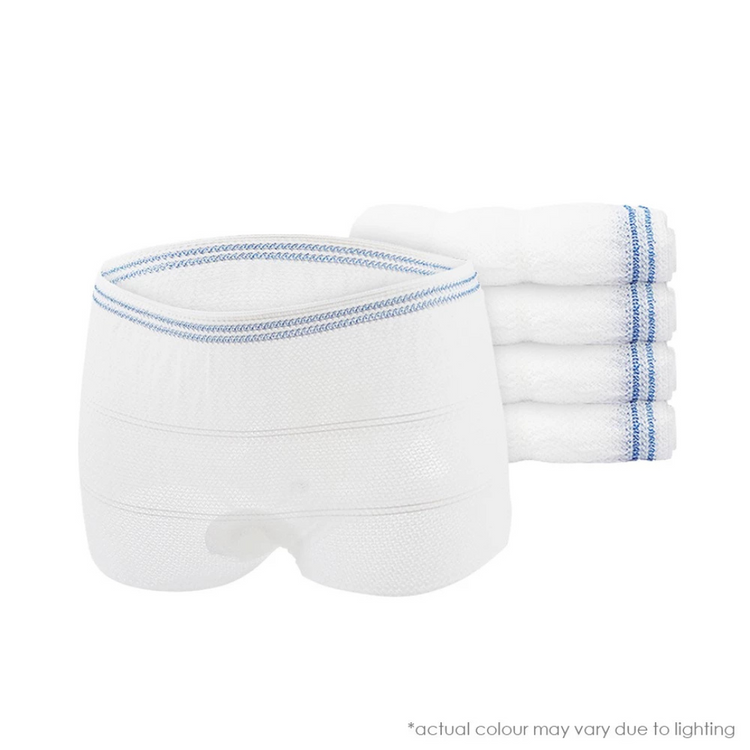 Shapee Postpartum Mesh Panties (5pcs)