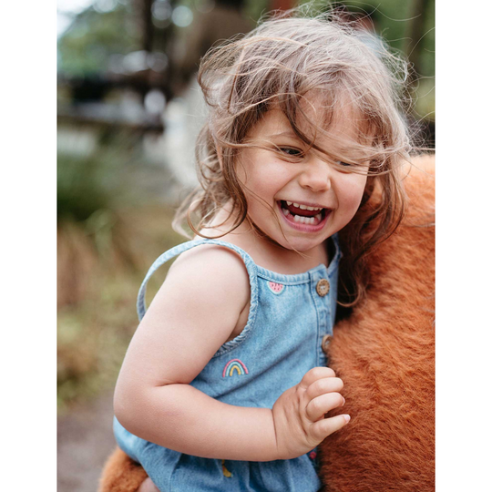 Purebaby Organic Denim Friendship Broderie Print Chambray Broderie Dress