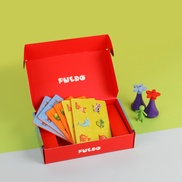 Puedo Memory Matching Game (2 variations: Transport, Animals)