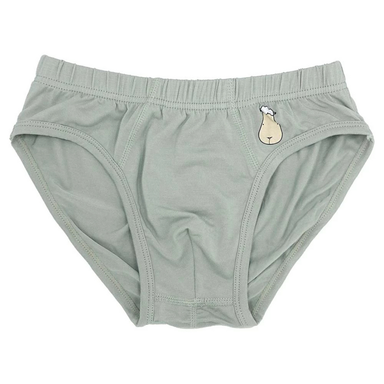 Baa Baa Sheepz Boys Briefs C003-B 3pcs