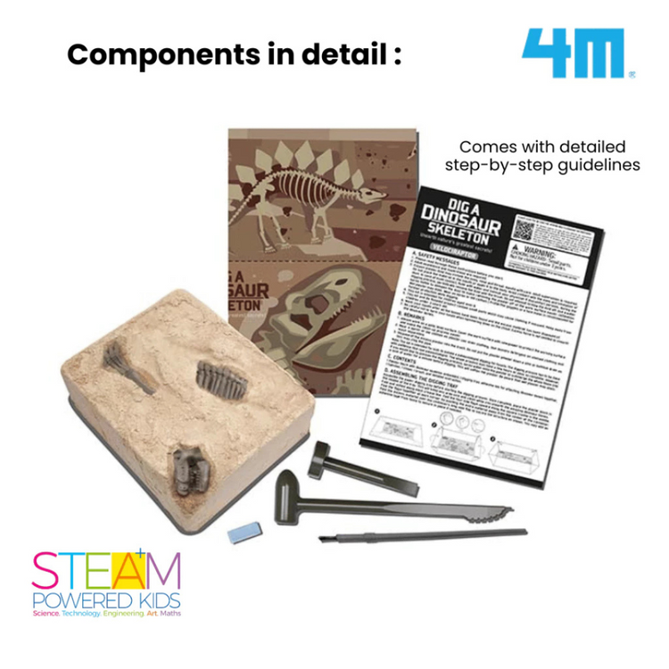 4M KidzLabs - Dig a Velociraptor Skeleton (8Y+)