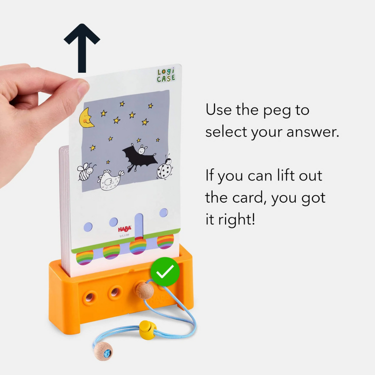 Haba Logic CASE Starter Set (5yrs+)