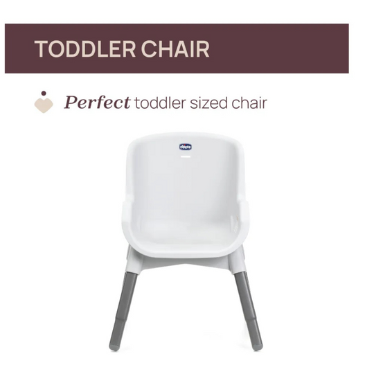 Chicco Polly Zest Highchair - Moon Grey (6months till 40kg)