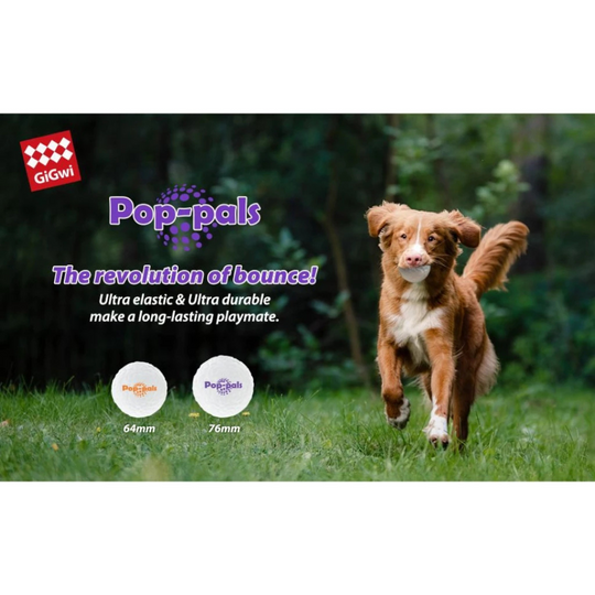 GiGwi Pop-pals E-TPU Ball Dog Toy