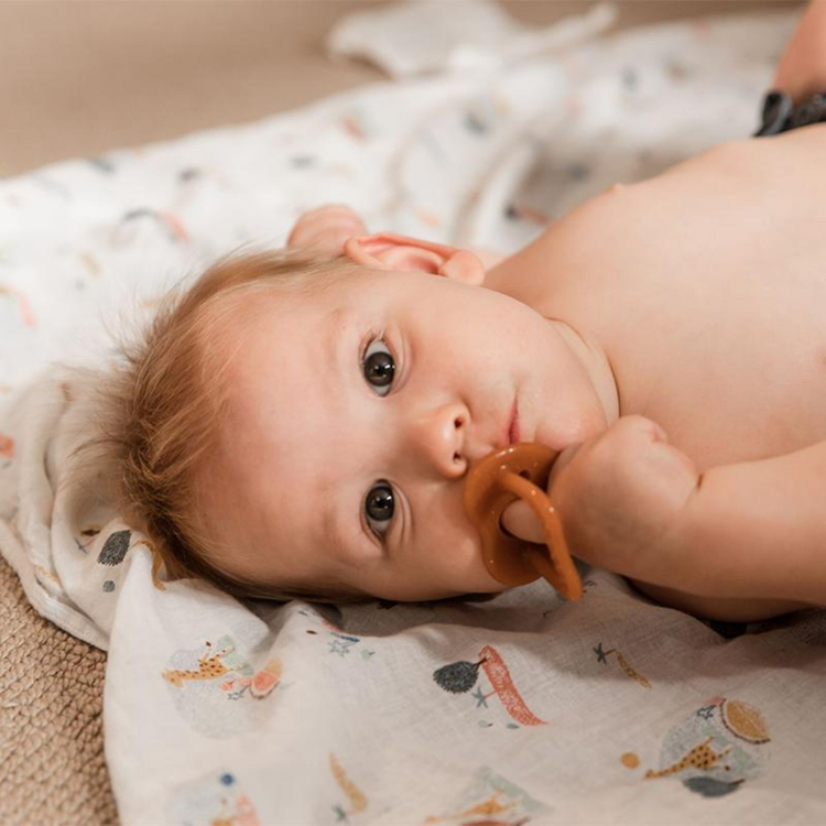Haakaa Silicone Dummy Pacifier - Amber (3 months+)