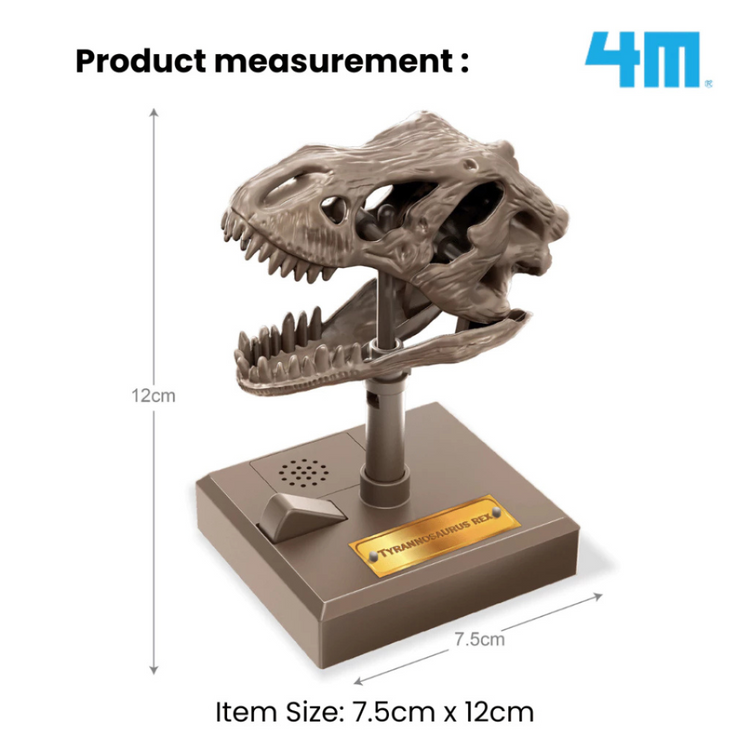 4M KidzLabs - Roaring T-Rex Skull (5Y+)
