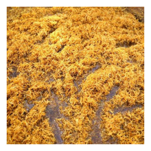 Translation missing: ms.sections.featured_product.gallery_thumbnail_alt