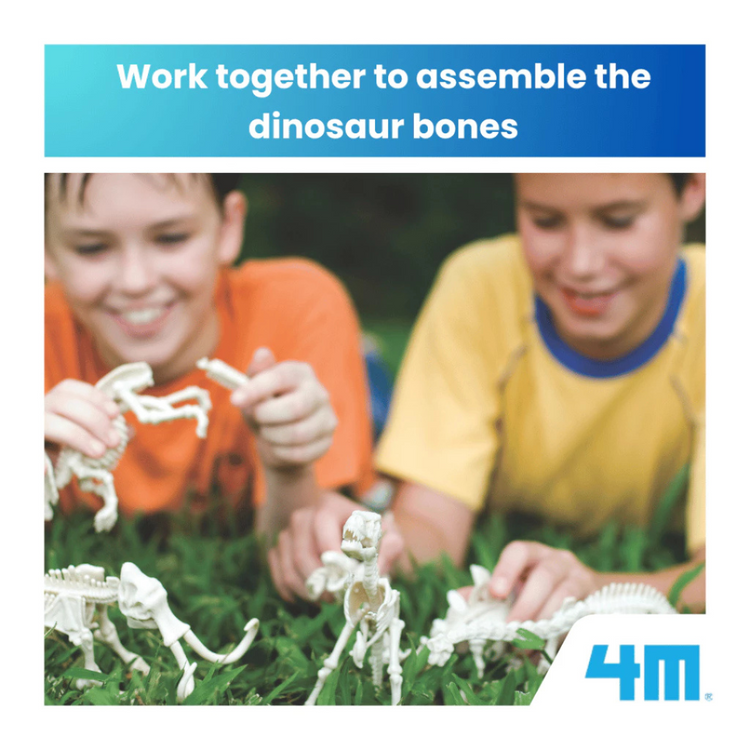 4M KidzLabs - Dig a Velociraptor Skeleton (8Y+)
