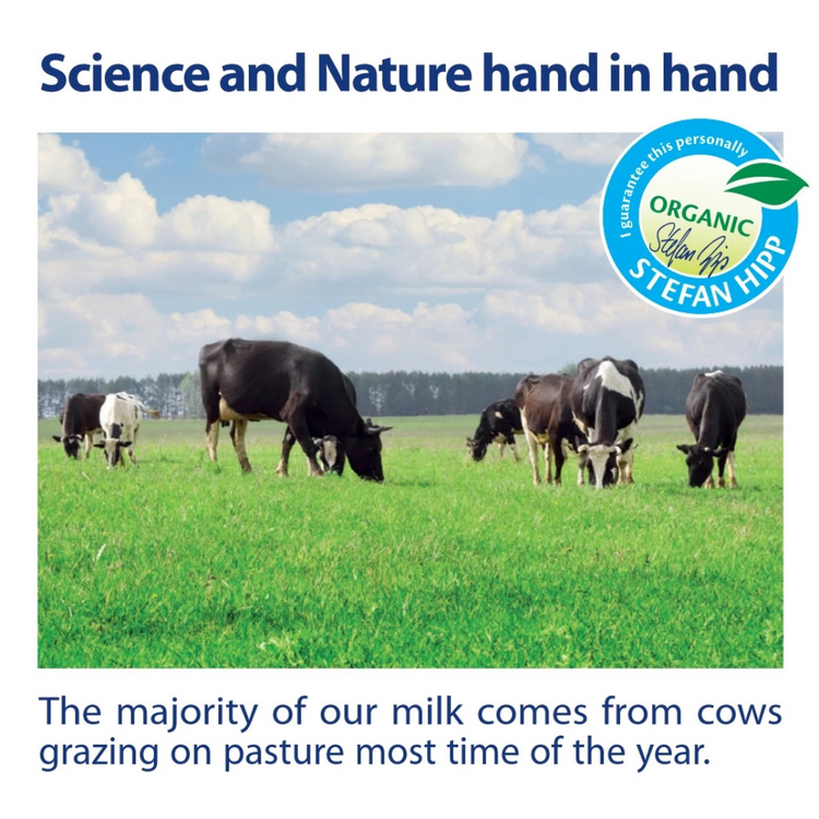 HiPP JUNIOR Organic Growing-up Milk Step 3 (800g) (From One Year Onwards)
