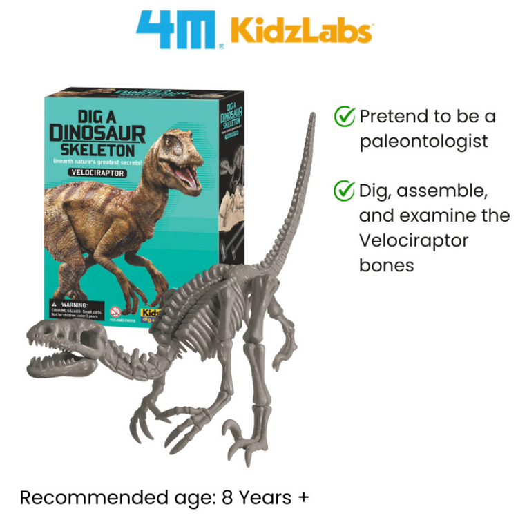 4M KidzLabs - Dig a Velociraptor Skeleton (8Y+)