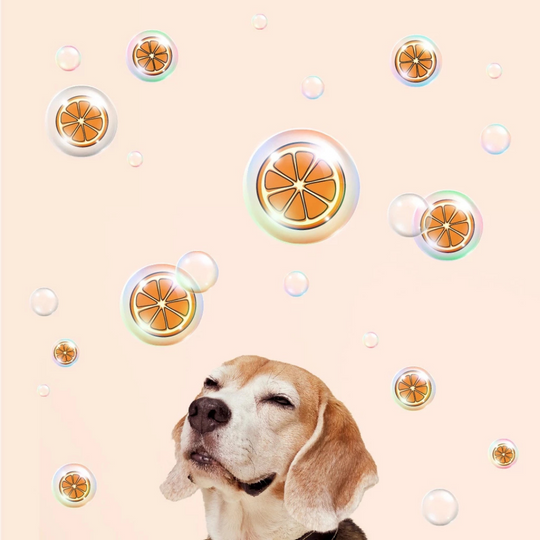 Bell & Collar Wheat + Orange natural pet shampoo 350ml : Fur color enhancing and deodorizing.