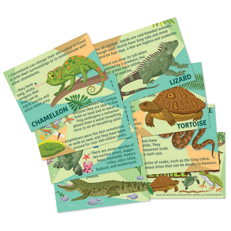 4M Mould & Paint - Reptile & Amphibian (5Y+)