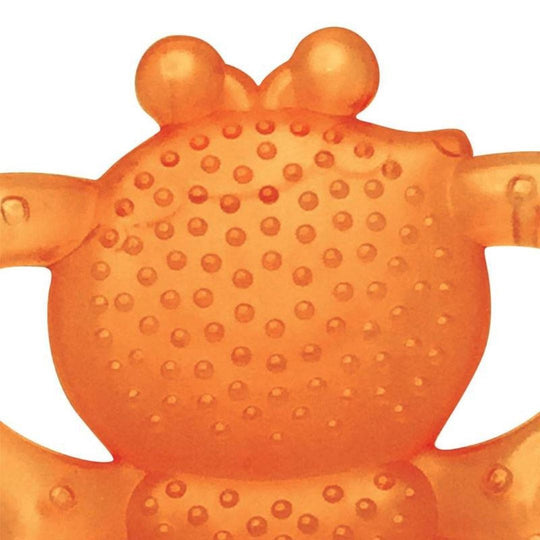 Infantino Garden Teething Pals (0m+)