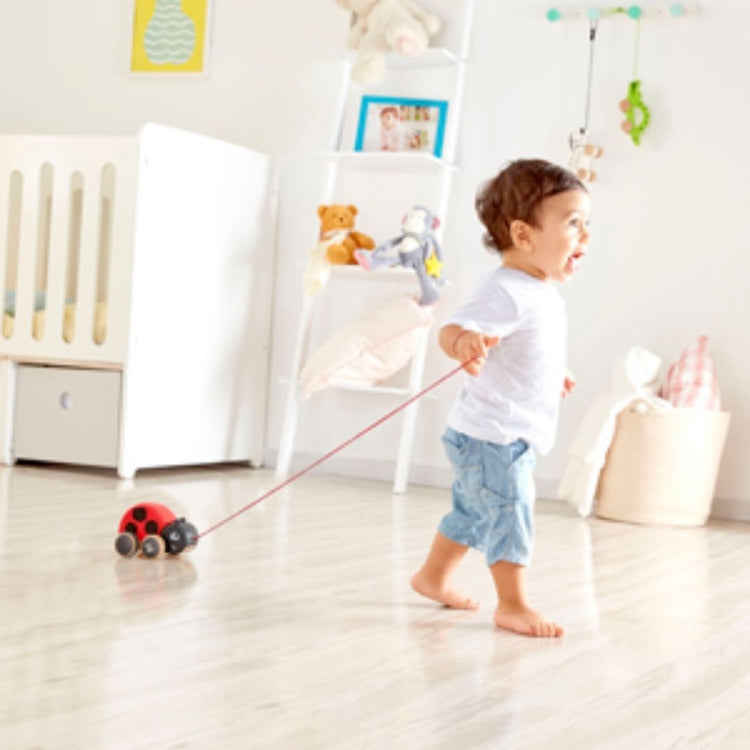 Hape Ladybug Pull Along (12m+)