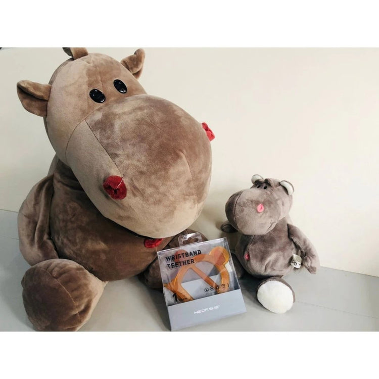 He or She Antibacterial Wristband Teether