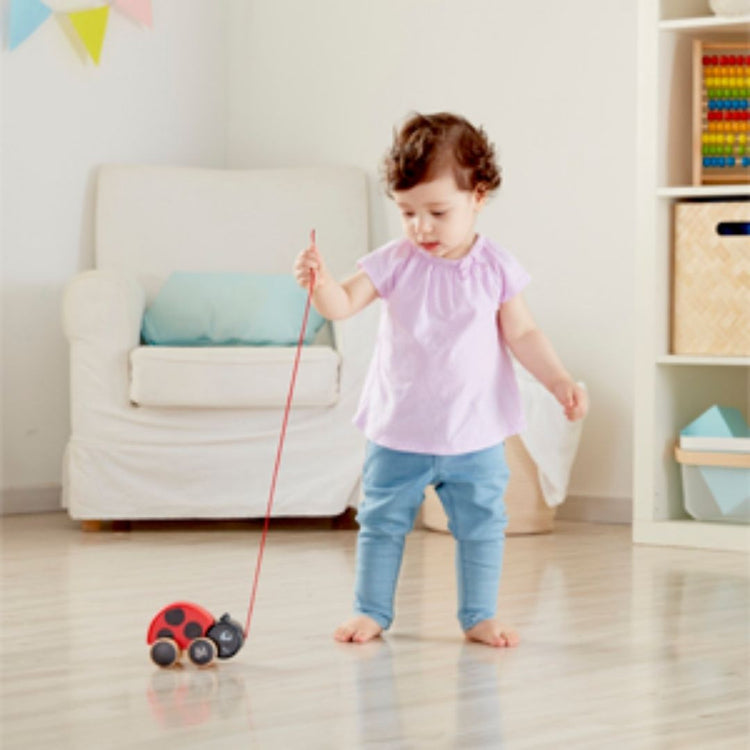 Hape Ladybug Pull Along (12m+)