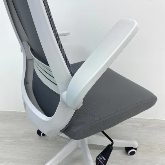[PRE-ORDER] ANEW Arise Ergonomic Chair