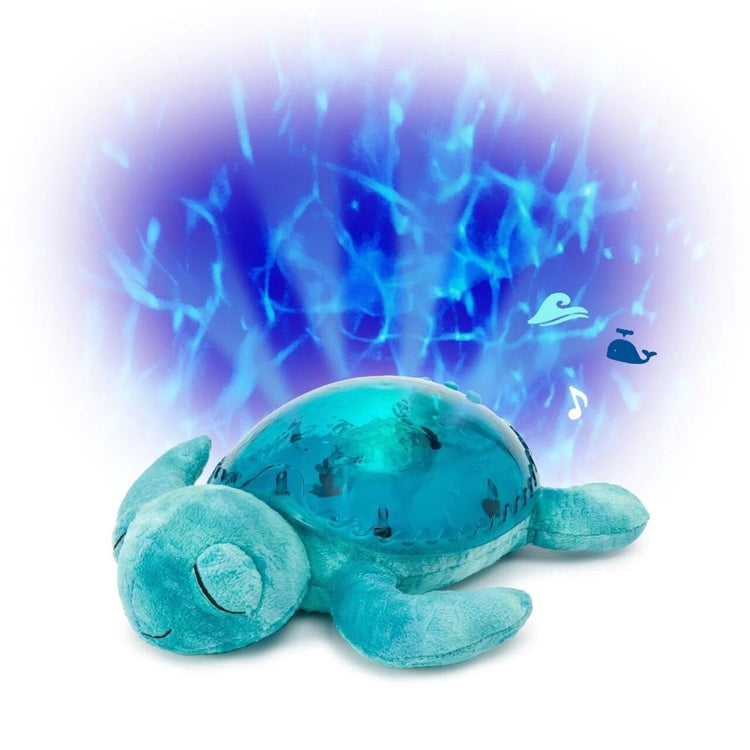 Cloud b Tranquil Turtle