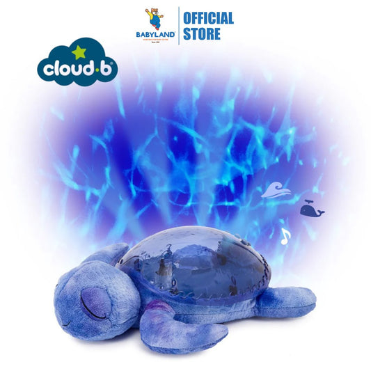 Cloud b Tranquil Turtle