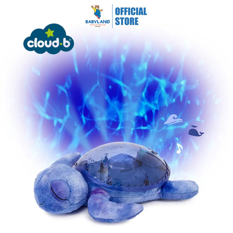 Cloud b Tranquil Turtle