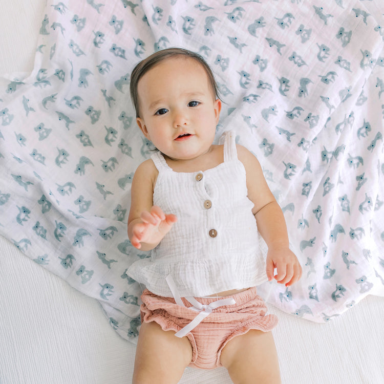 Aden + Anais Classic Muslin Swaddles (4-Pack)