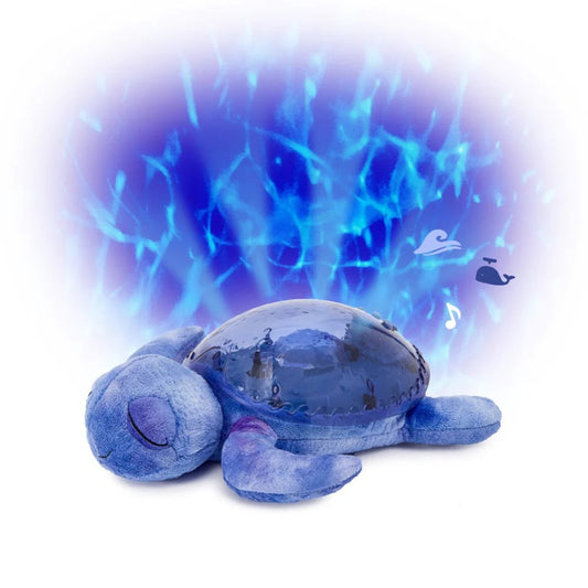 Cloud b Tranquil Turtle