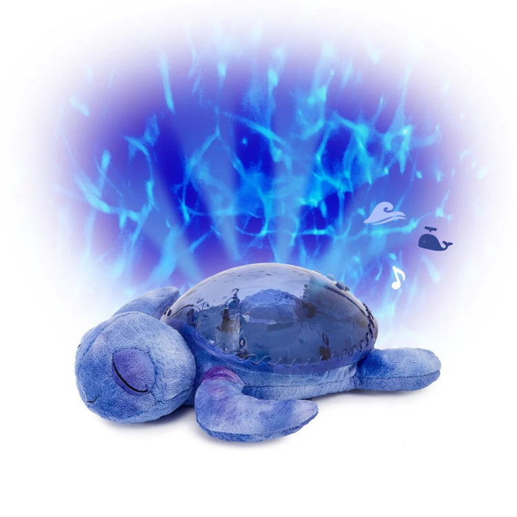 Cloud b Tranquil Turtle