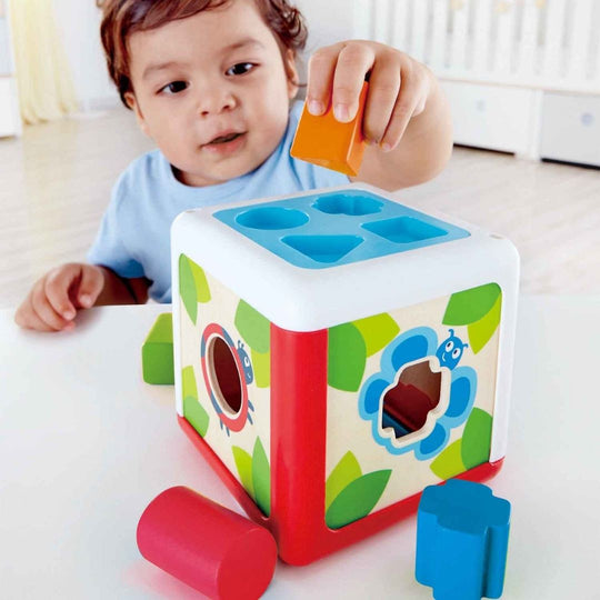 Hape Shape Sorting Box (12m+)