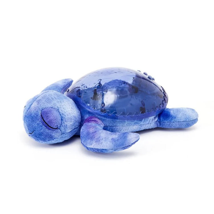 Cloud b Tranquil Turtle
