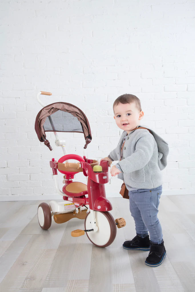 Iimo Foldable Tricycle #02 SS With Canopy