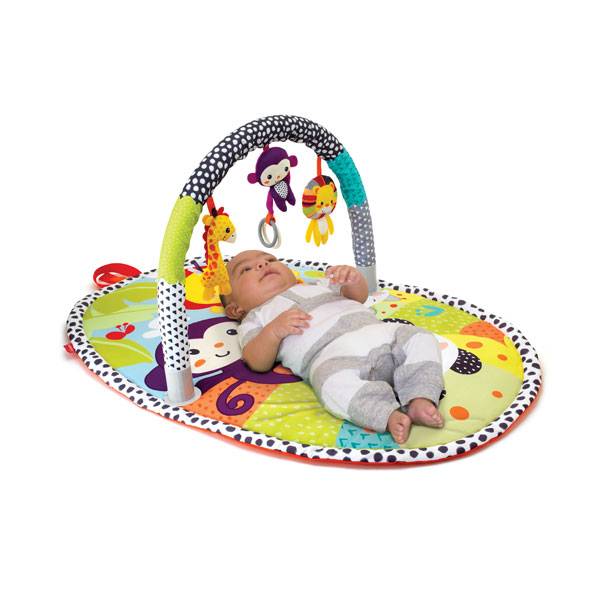 Infantino Explore & Store Activity Gym (0m+)