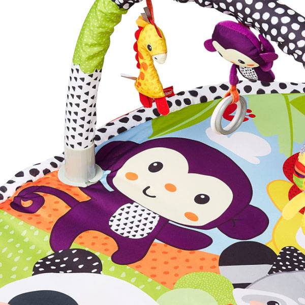 Infantino Explore & Store Activity Gym (0m+)