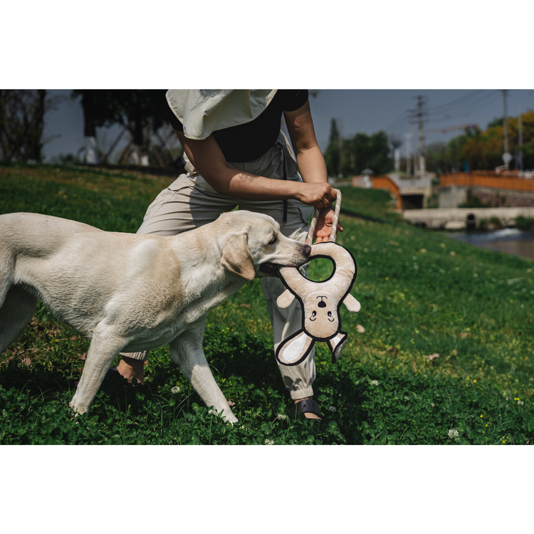 V-Pet Rough & Tough Toys - Welcome to the Farm - Rabbit