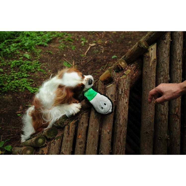 V-Pet Rough & Tough Toys - Welcome to the Jungle - Rattlesnake M