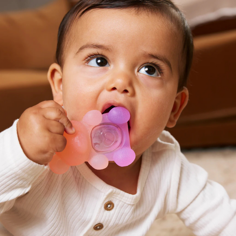 Infantino 316777 Teethimal Pop Pals - Gummy Bears Suitable for Age 0+ Months