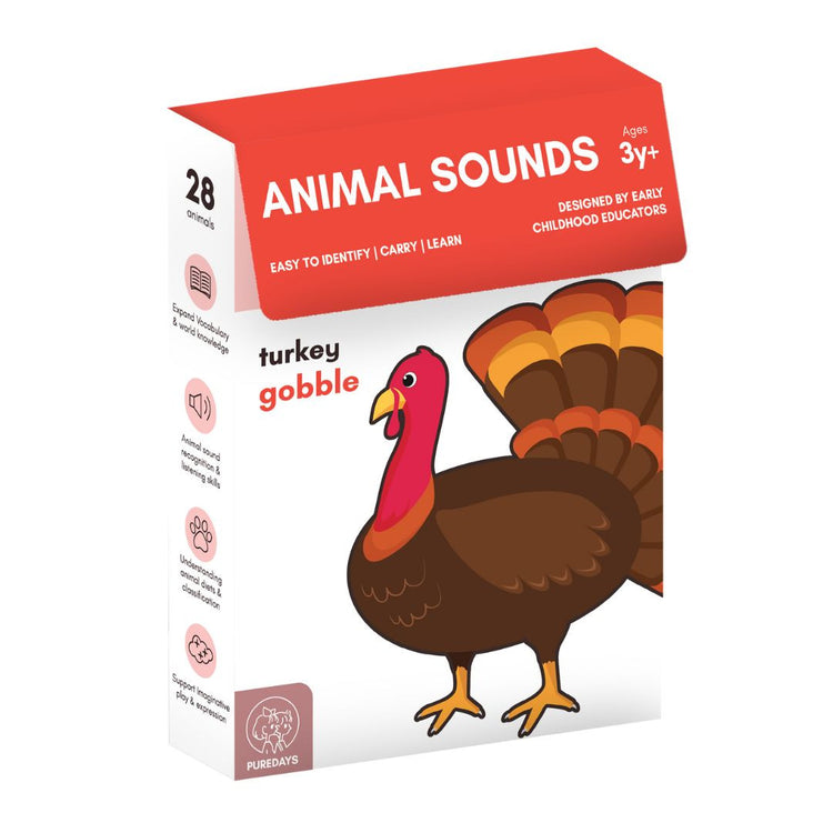 PureDays Cognitive Flash Cards (3Y+)