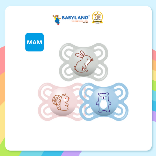 Mam Perfect Colours of Nature Pacifier (2-6M)