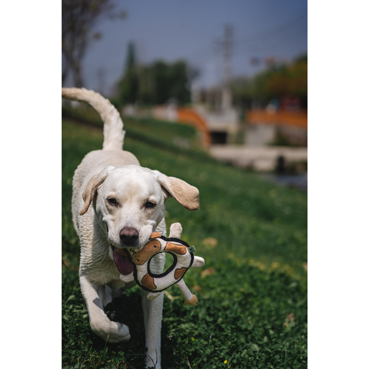 V-Pet Rough & Tough Toys - Welcome to the Farm - Cow M