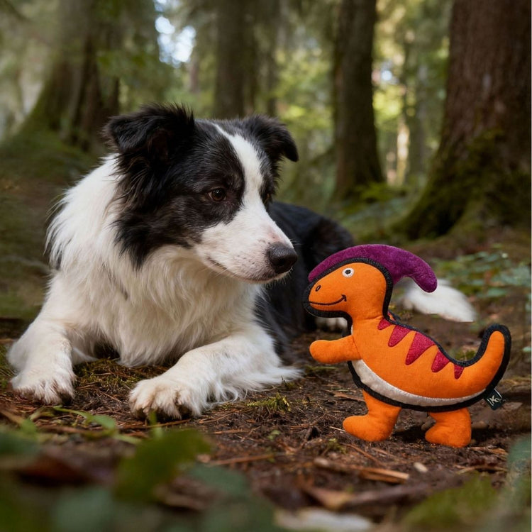 V-Pet Rough & Tough Toys - Jurassic Echo - Parasaurolophus-Orange M