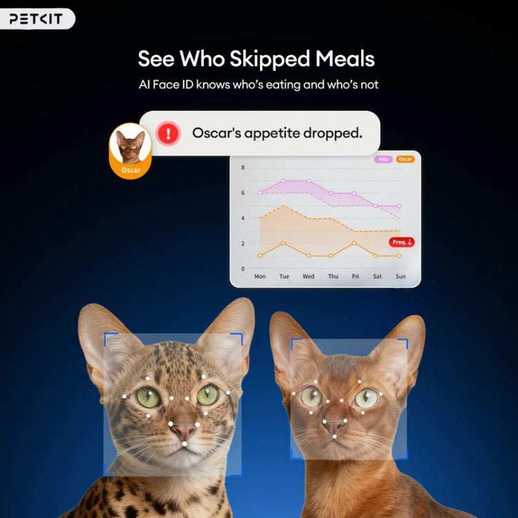 PETKIT YUMSHARE SOLO 2 WITH CAMERA Smart Pet Feeder | 2-Year Warranty