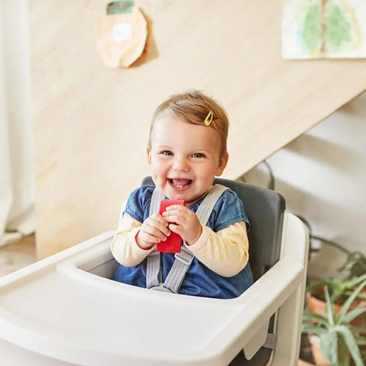 [PRE-ORDER] Nuna ZAAZ Black-Plum