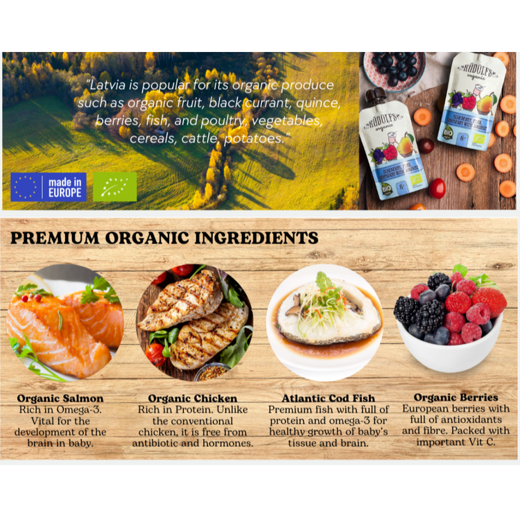 [Halal] Rudolfs Organic Premium Baby Food in Pouches (suitable: 4m+ -- 6m+)