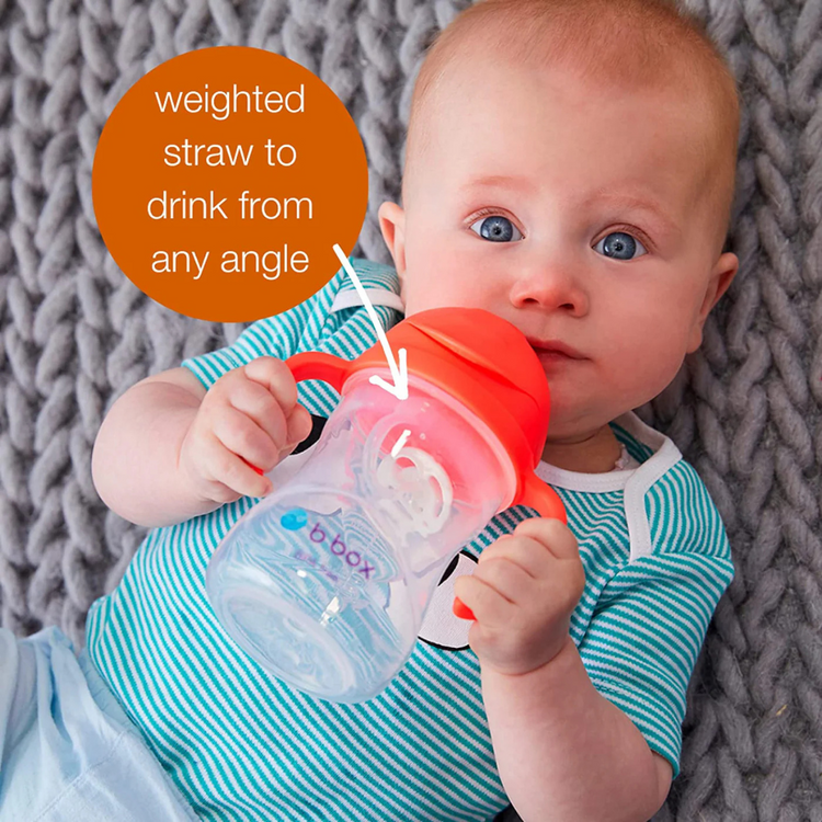 B.Box Baby Sippy Straw Cup 240ml With 360 Degree Weighted Straw (6m+) / Replacement Straw Set